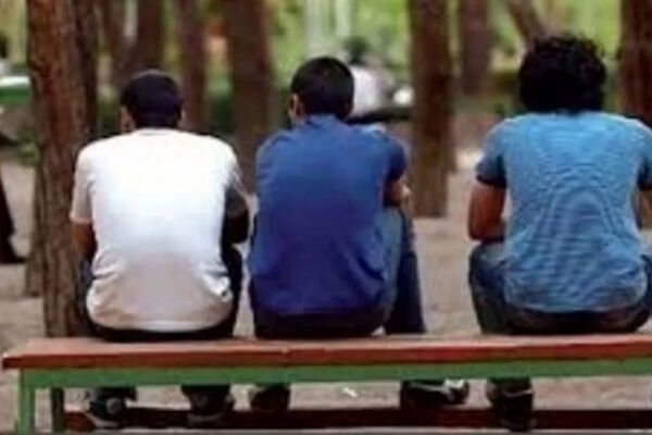 چرا نسل z ارادی بیکارند؟

