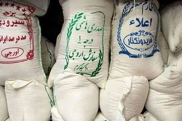 برنج ایرانی همچنان گران می‌شود؛ هر کیلو نزدیک به ۲۰۰ هزار تومان
