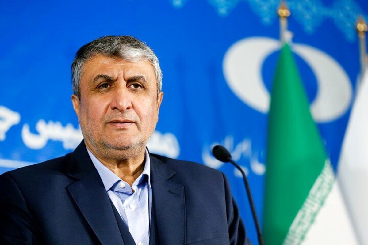 ما ظرفیت غنی‌سازی ۶۰ درصدی را ادامه می‌دهیم؛ ظرفیت جدیدی ایجاد نکرده‌ایم/ گزارش اخیر آژانس همان مطلبی بود که به شورای حکام گزارش داده بود