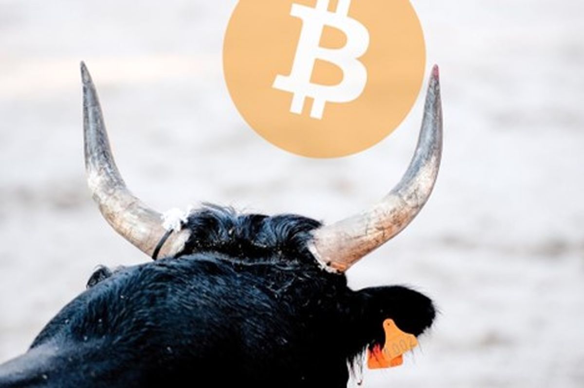 بازار صعودی بیت کوین تا چه زمانی ادامه پیدا می‌کند؟
