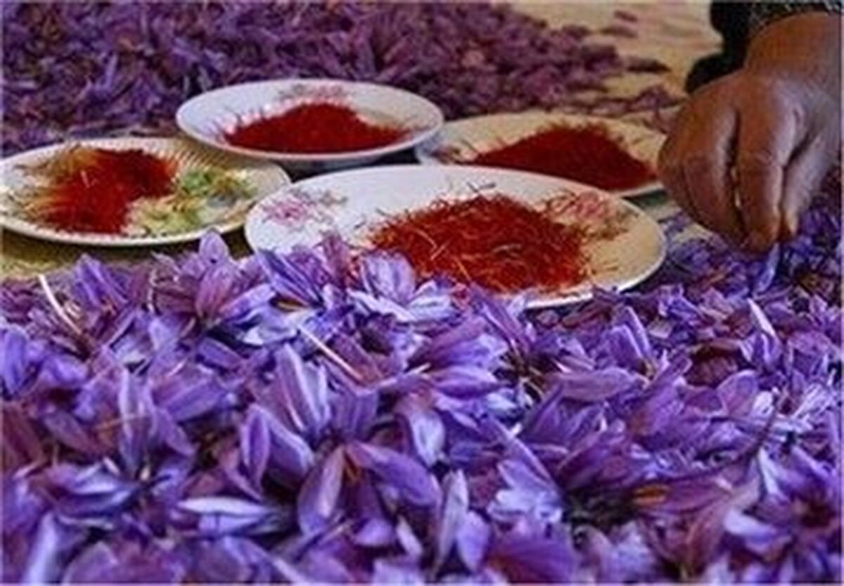 یک کیلو زعفران چند شد؟