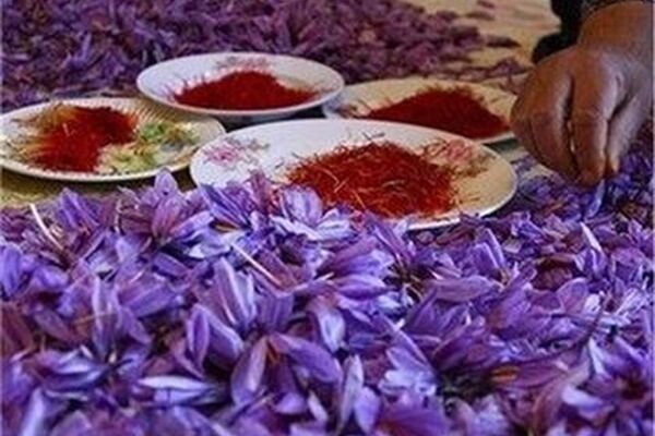 یک کیلو زعفران چند شد؟