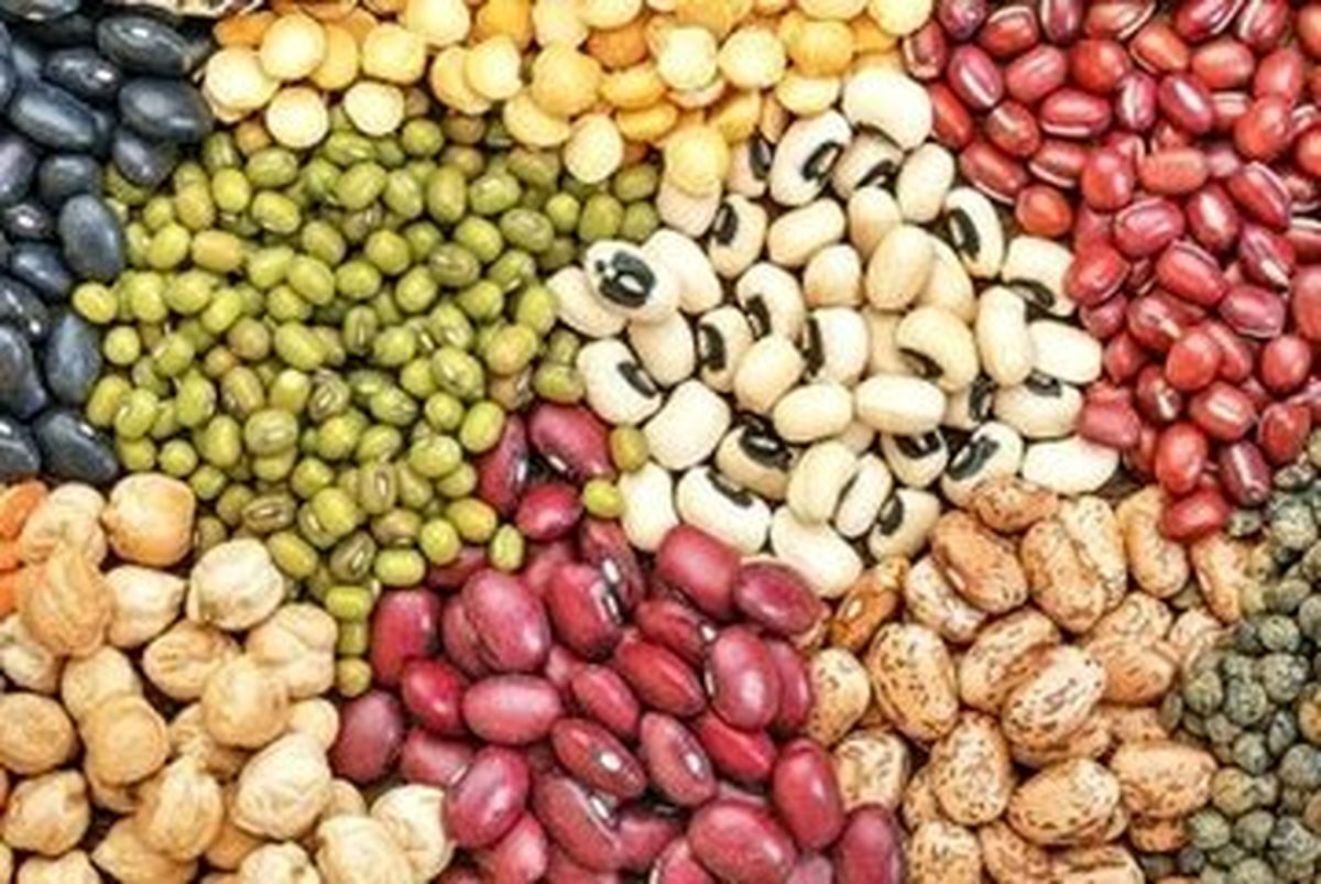 دلیل افزایش قیمت حبوبات در روزهای اخیر/ مصرف سرانه کشور کمتر از میانگین جهانی
