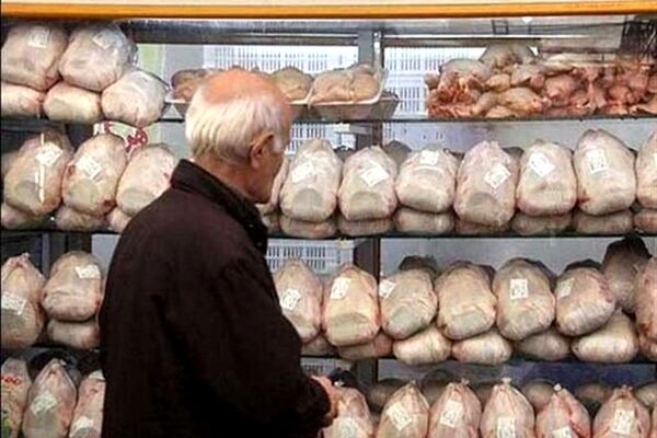 قیمت جدید مرغ دولتی اعلام شد