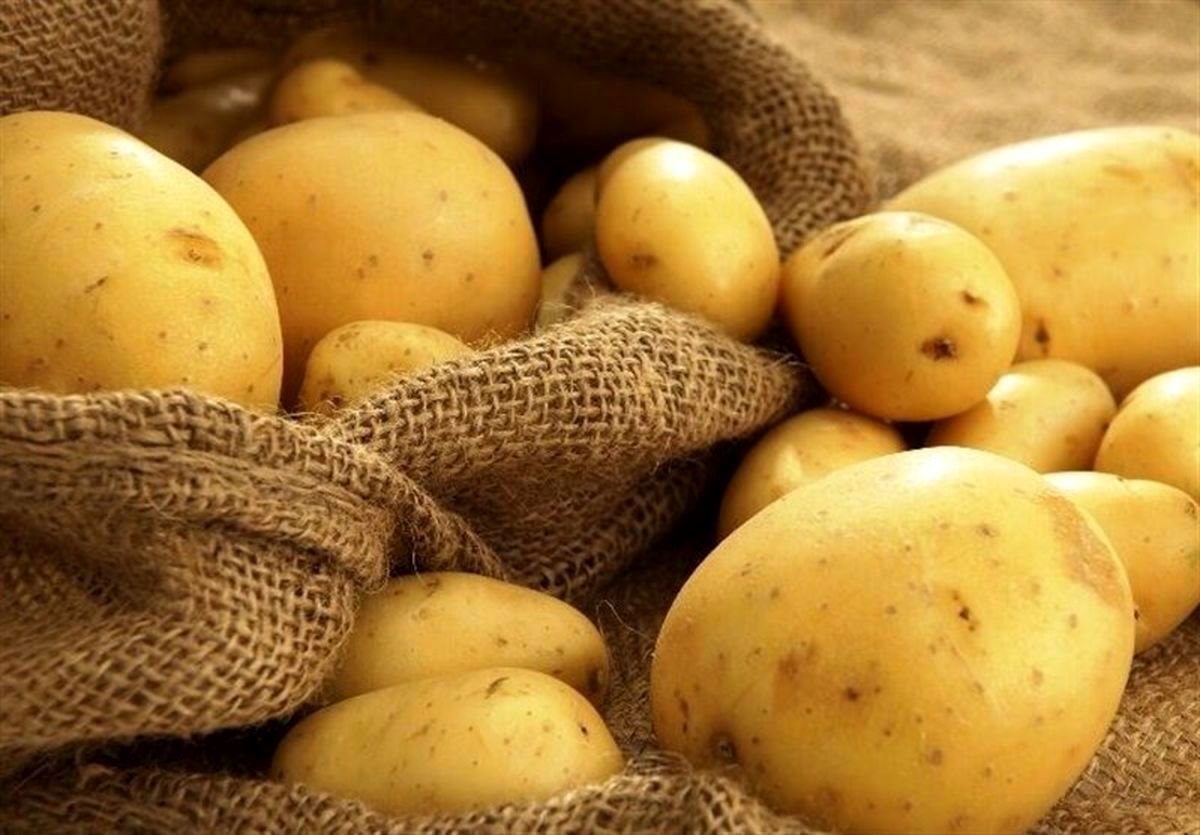 سیب زمین های این استان روانه تهران شد
