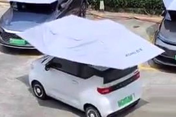 راهکار عجیب چینی ها برای محافظت از خودرو در گرما/ ویدئو