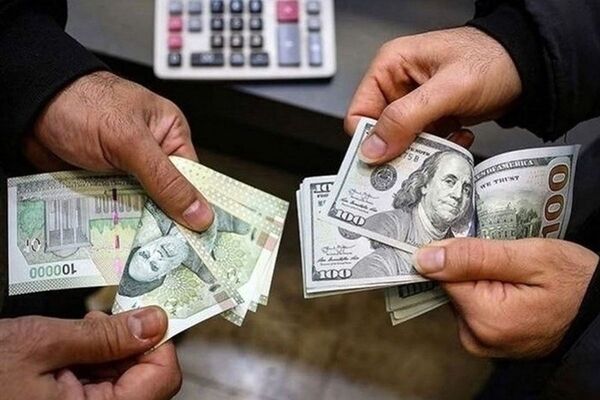بلایی که افزایش نرخ دلار بر سرمان می آورد/ اینفوگرافیک