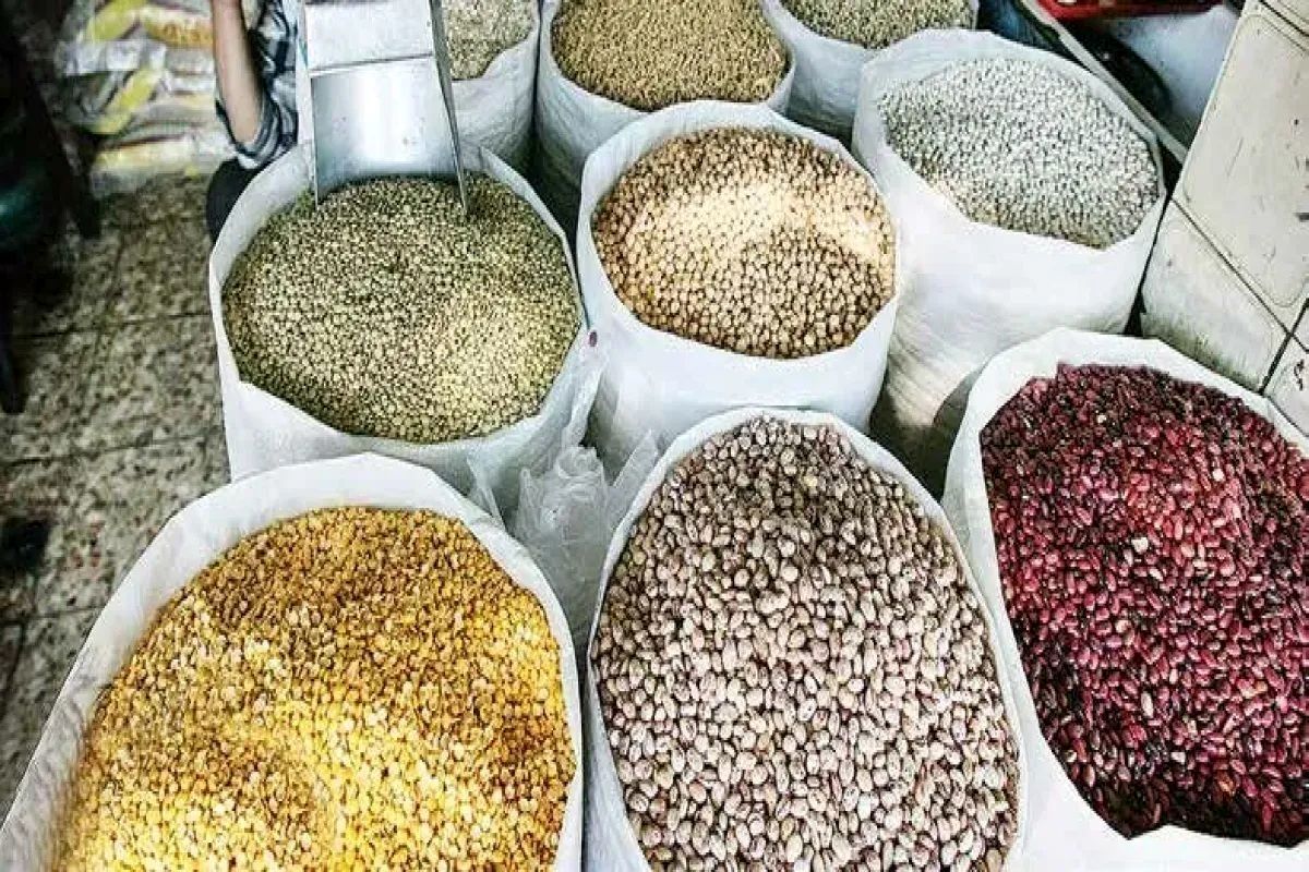 صادرات حبوبات ممنوع شد