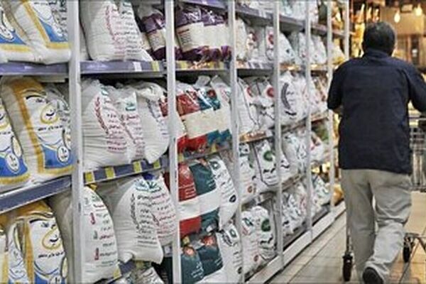 واردات برنج خارجی را به خرید برنج ایرانی گره نزنید
