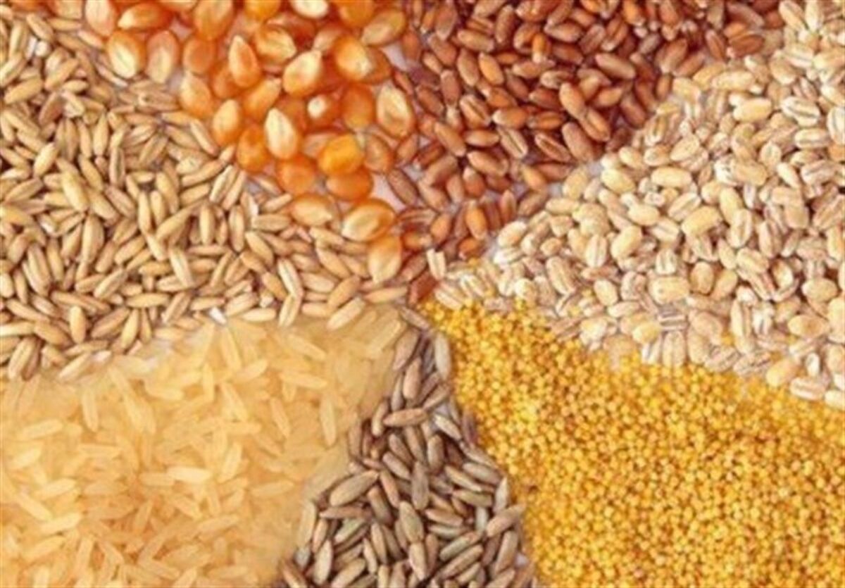 قیمت مصوب جدید نهاده های دامی، روغن و شکر خام اعلام شد