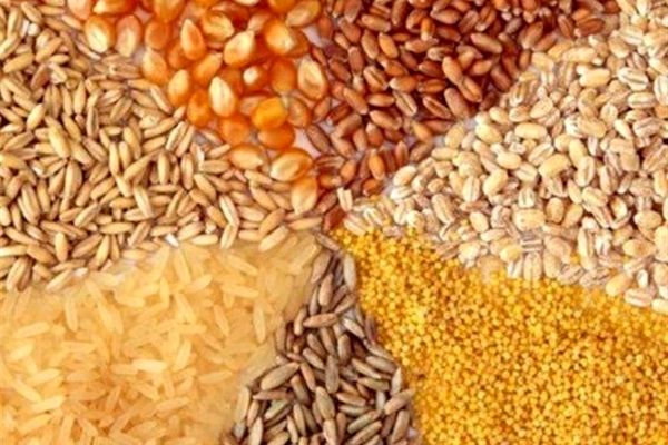 شکر شکست قیمت را کلید زد/ هشدار درباره فروش برنج پاکستانی به‌جای ایرانی