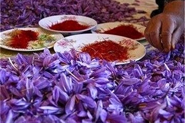 لبنیات ۵۰ تا ۶۰ درصد گران شد