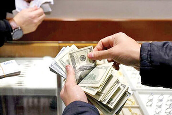 اختلاف بانک مرکزی و وزارت اقتصاد، عامل به هم ریختگی بازار ارز است؟

