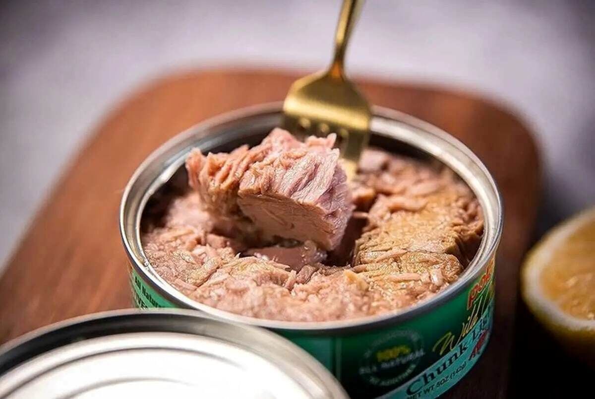 کنسرو ماهی گران می‌شود
