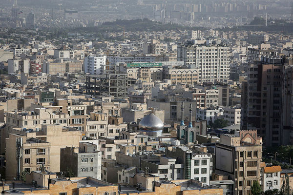 پشم گوسفند هم قیمتی شد؛ یک گونی نیم میلیون!