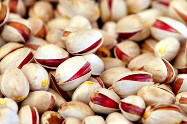 ماجرای ممنوعیت صادرات پسته ایران به اروپا
