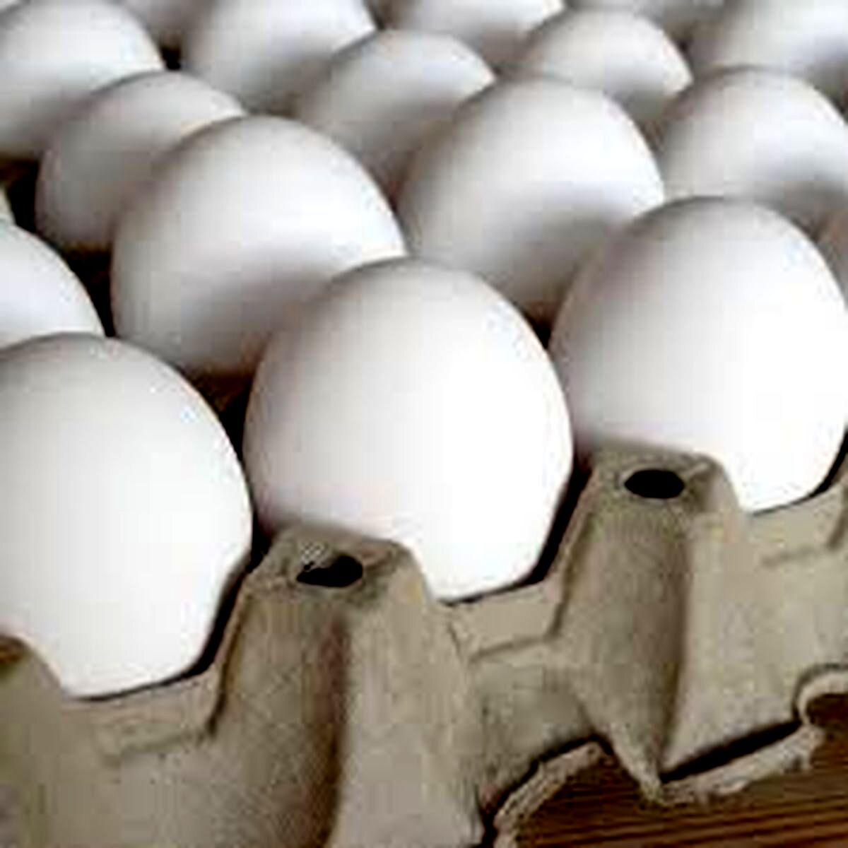 گرما تخم مرغ را ارزان کرد