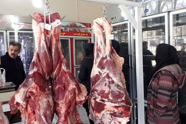 افزایش واردات تنها راهکار کاهش قیمت گوشت در بازار است