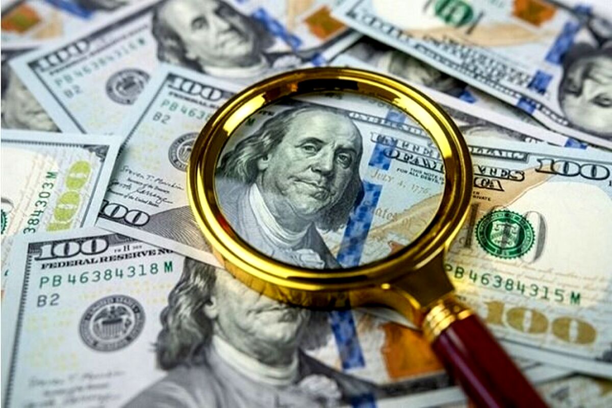 کدام شرکت ها بیشترین ارز ترجیحی را دریافت کردند؟/ اینفوگرافیک