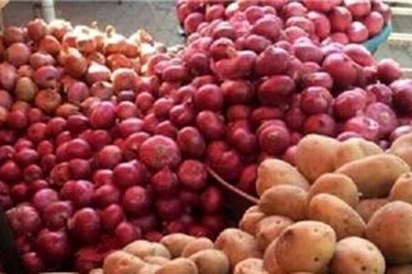 پیاز ارزان شد؟