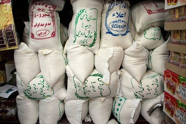 عملیات کنترل قیمت برنج آغاز شد