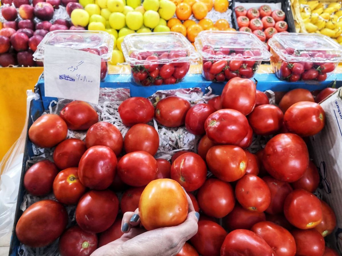 چرا گوجه فرنگی گران شد؟
