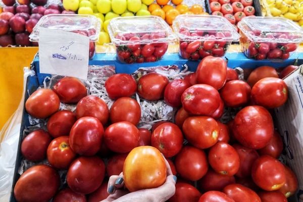 چرا گوجه فرنگی گران شد؟