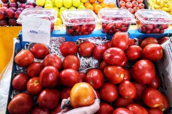 گوجه فرنگی احمدی نژاد به۱۴۰۲ رسید/ گوجه فرنگی رکورد دلار را زد