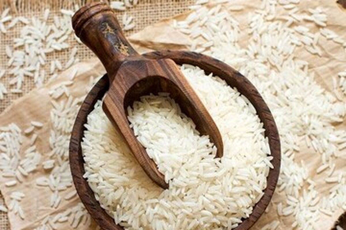برنج ارزان به بازار رسید/ برنج ۴۶ هزار تومانی از کجا بخریم؟