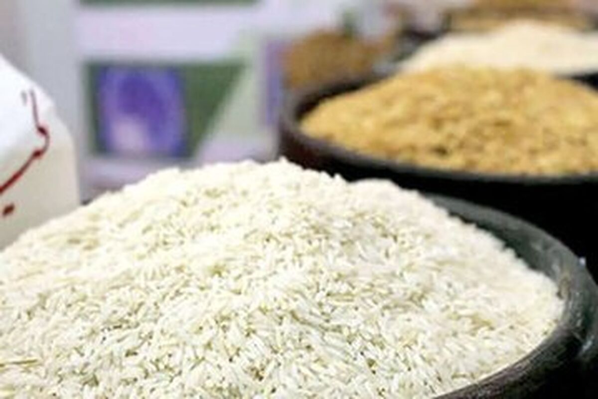 پیش بینی کاهش قیمت برنج با ورود محصول امسال و وارداتی در آینده نزدیک