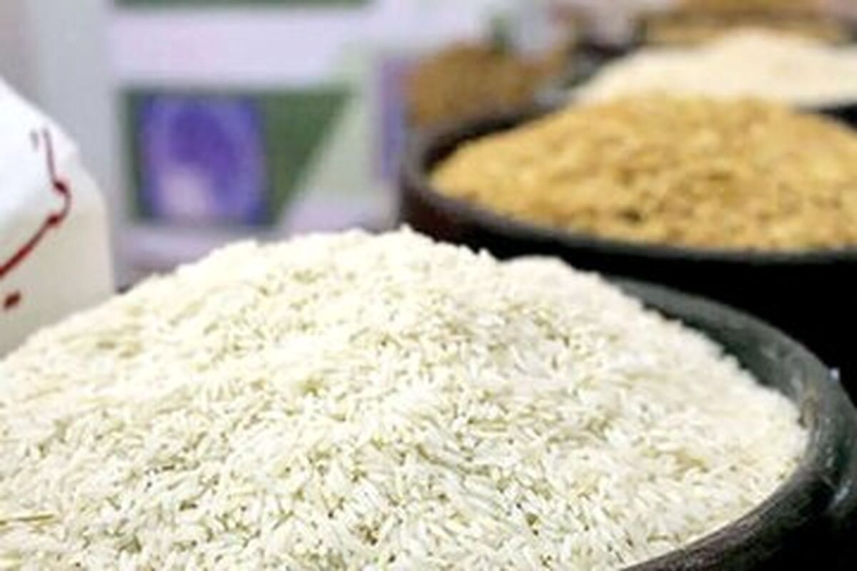 پیش بینی کاهش قیمت برنج با ورود محصول امسال و وارداتی در آینده نزدیک