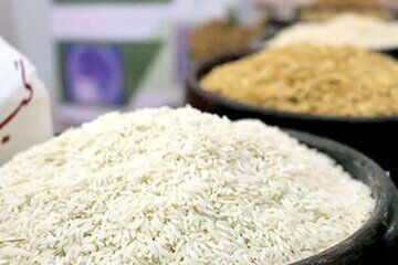 پیش بینی کاهش قیمت برنج با ورود محصول امسال و وارداتی در آینده نزدیک