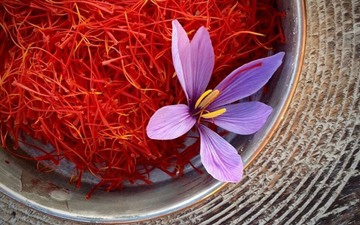 زعفران گران شد