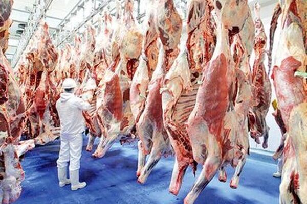 قیمت جدید گوشت قرمز امروز ۲۹ مردادماه اعلام شد/ گوشت گوسفندی ارزان شد