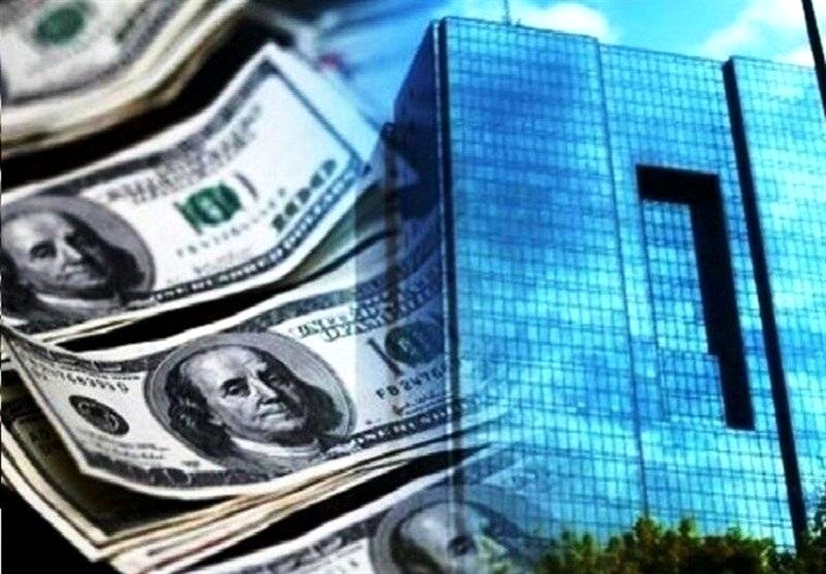 دولت در تصمیم گیری به نظرات بخش خصوصی توجهی ندارد/ سیستم معیوب تخصیص ارز