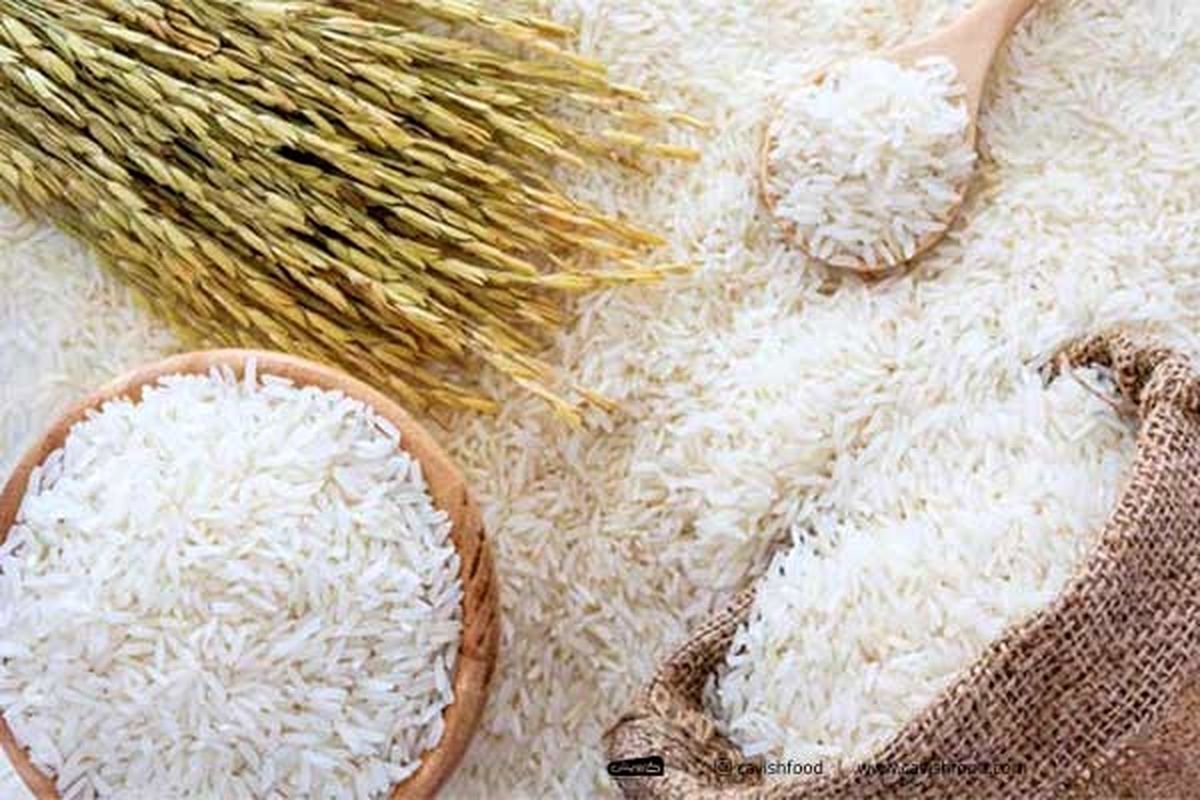 واردات برنج شروع شد/ قیمت پایین می‌آید؟
