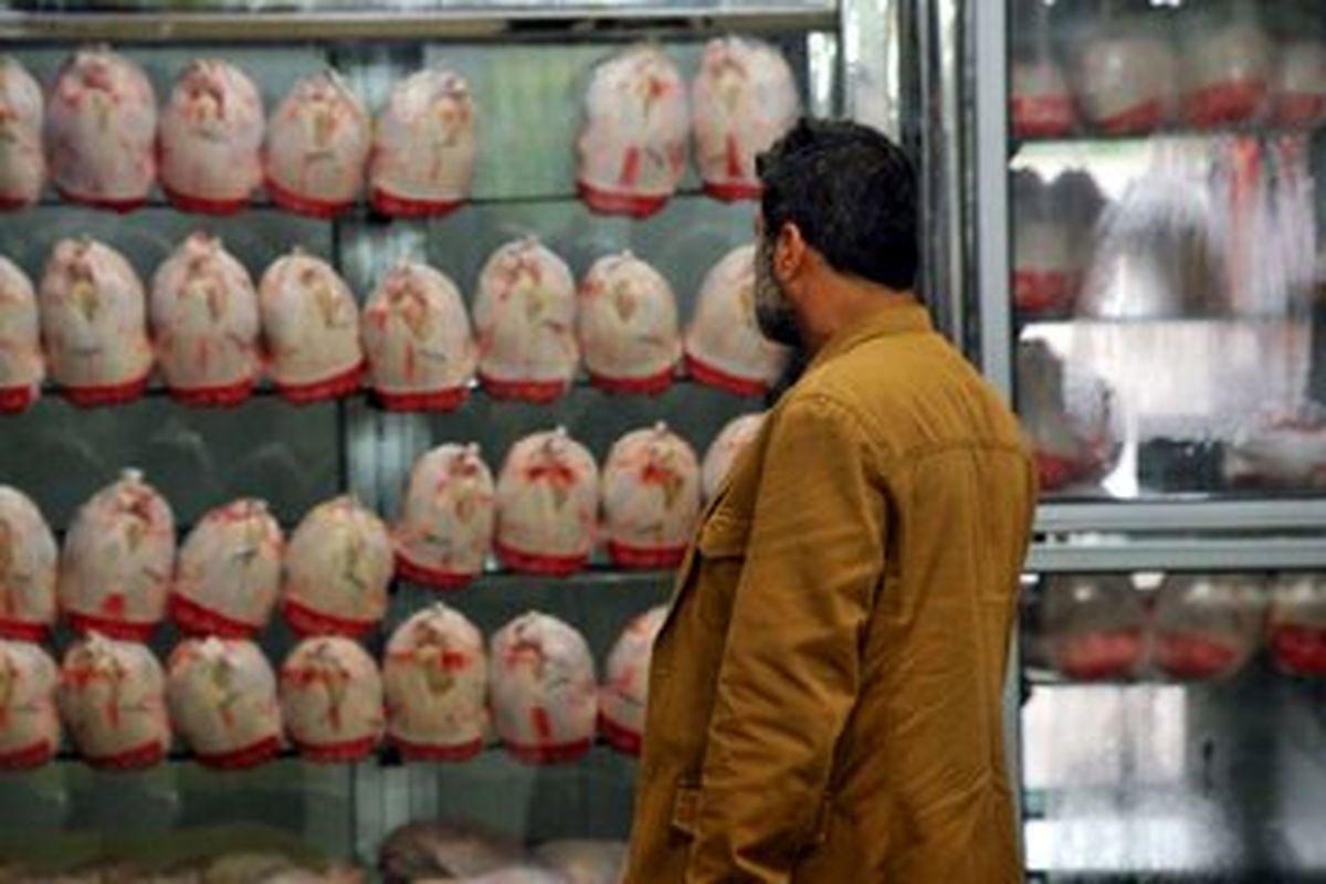 قیمت مصوب مرغ تغییر نکرده است/ با متخلفین برخورد خواهیم کرد