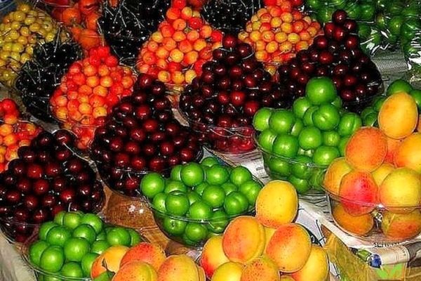 چرا قیمت میوه نجومی شد؟