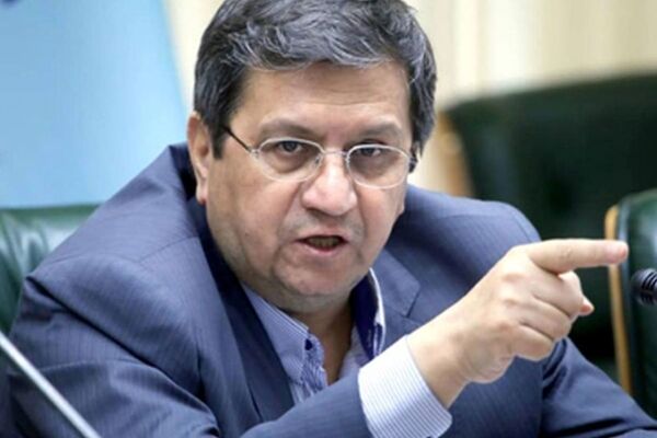 همتی: تلاش دولت یافتن فراریان مالیاتی است/ دانه درشت ها علیه اجرای قانون تبلیغ می‌کنند

