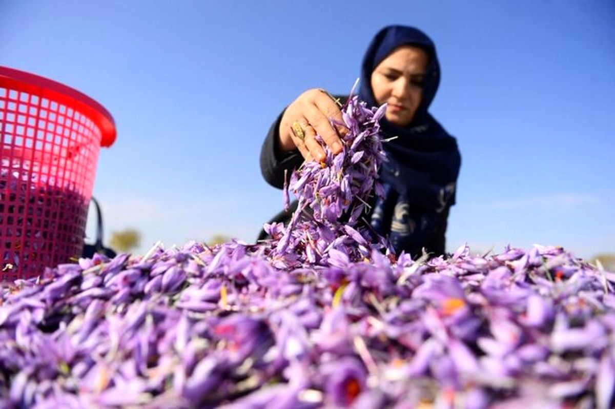 تسهیلات مشاغل خانگی چقدر شد؟