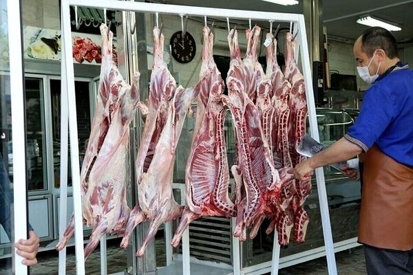 قیمت دام زنده منطقی می‌شود؟