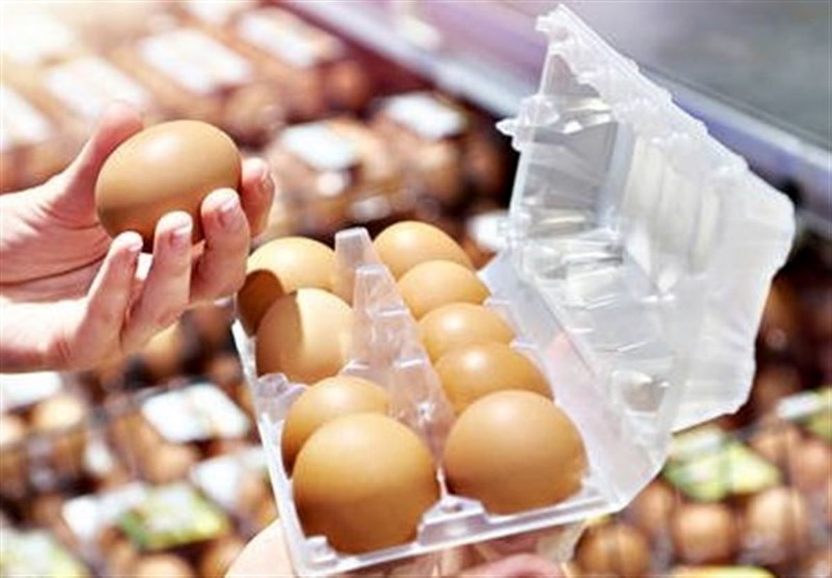 قیمت خرید حمایتی تخم مرغ اعلام شد