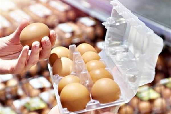 قیمت جدید تخم مرغ اعلام شد