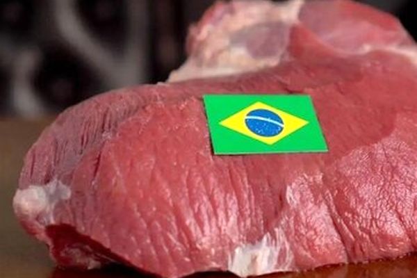 بزرگترین وارد کننده انواع چوب روسی و خشک و خیس در ایران