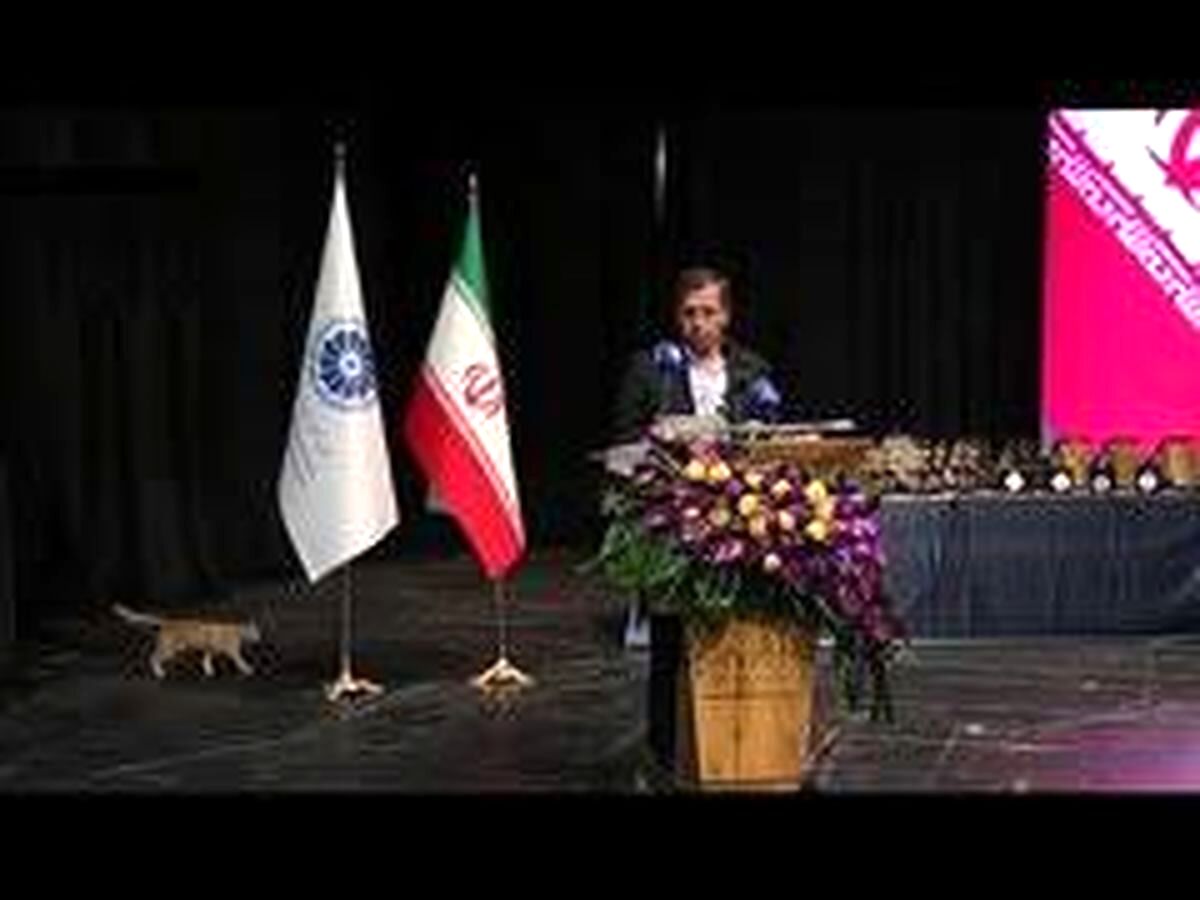 ورود یک گربه به سالن همایش هنگام سخنرانی وزیر اقتصاد/ ویدئو
