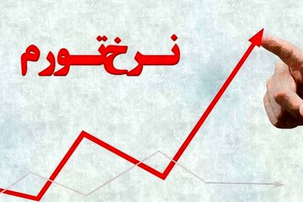 حذف ارز 4200 تومانی در دولت سیزدهم، تورم را 1.5 تا 2.5 برابر بالا برد