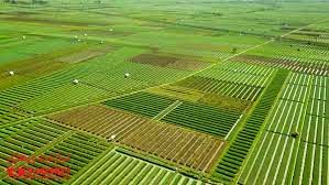 تصویب قانون ملی شدن اراضی