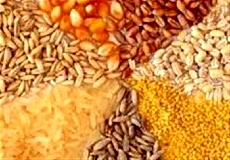 موافقت نمایندگان با تحقیق و تفحص از وزارت کشاورزی