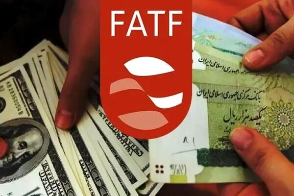 ۶ ماه فرصت داریم که کاری برای حل مشکل FATF انجام دهیم
